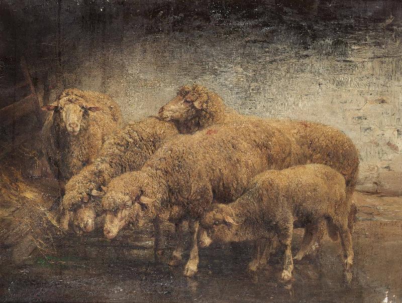 Heinrich von Angeli Sheep in a barn Germany oil painting art